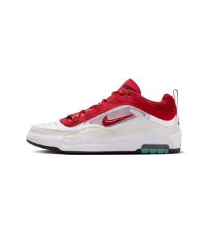 Nike SB Ishod 2